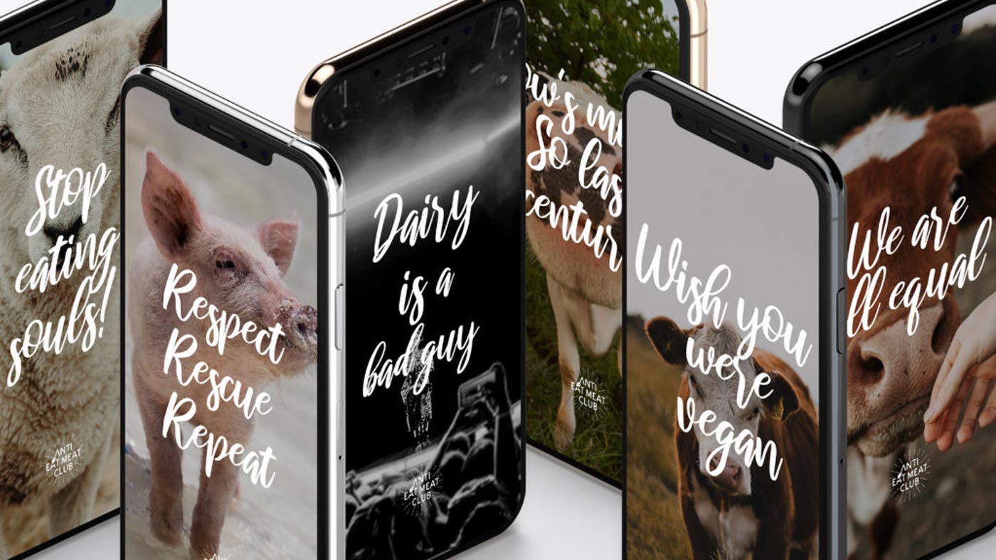 vegan-wallpaper-iphone-handy-hintergrund-quotes