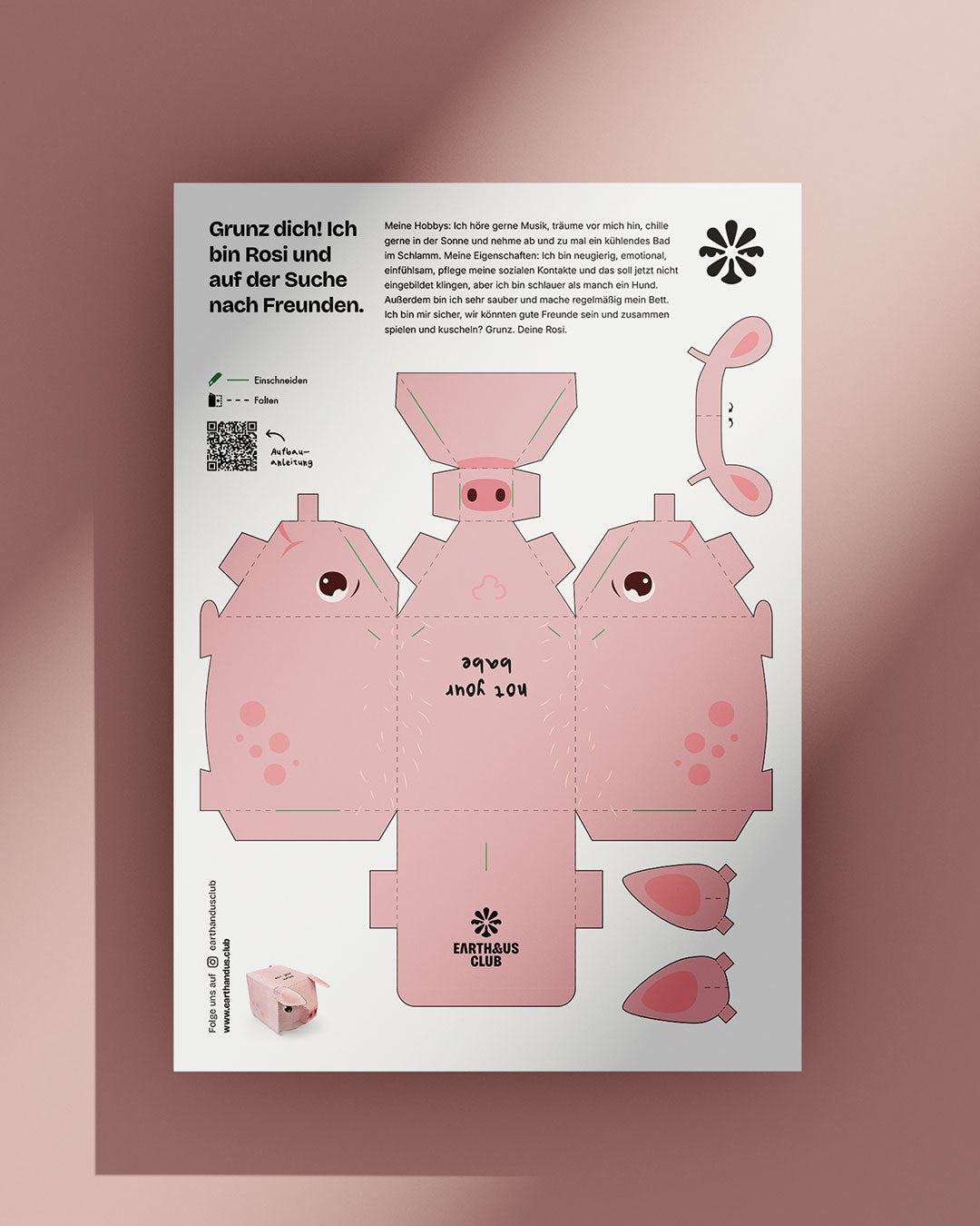 Schweinchen Rosi: DIY-Bastelbogen (Geschenk ab 30€)