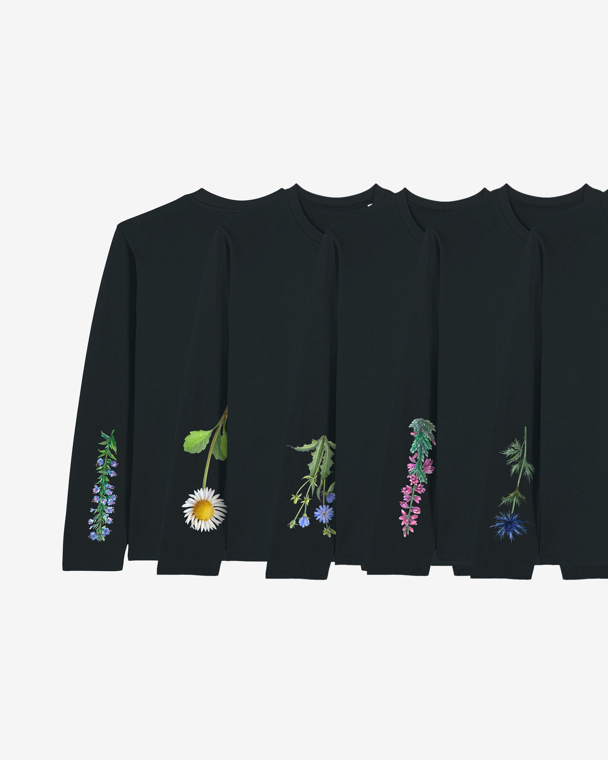 "Sandland Chicory" Wegwarte Organic Longsleeve