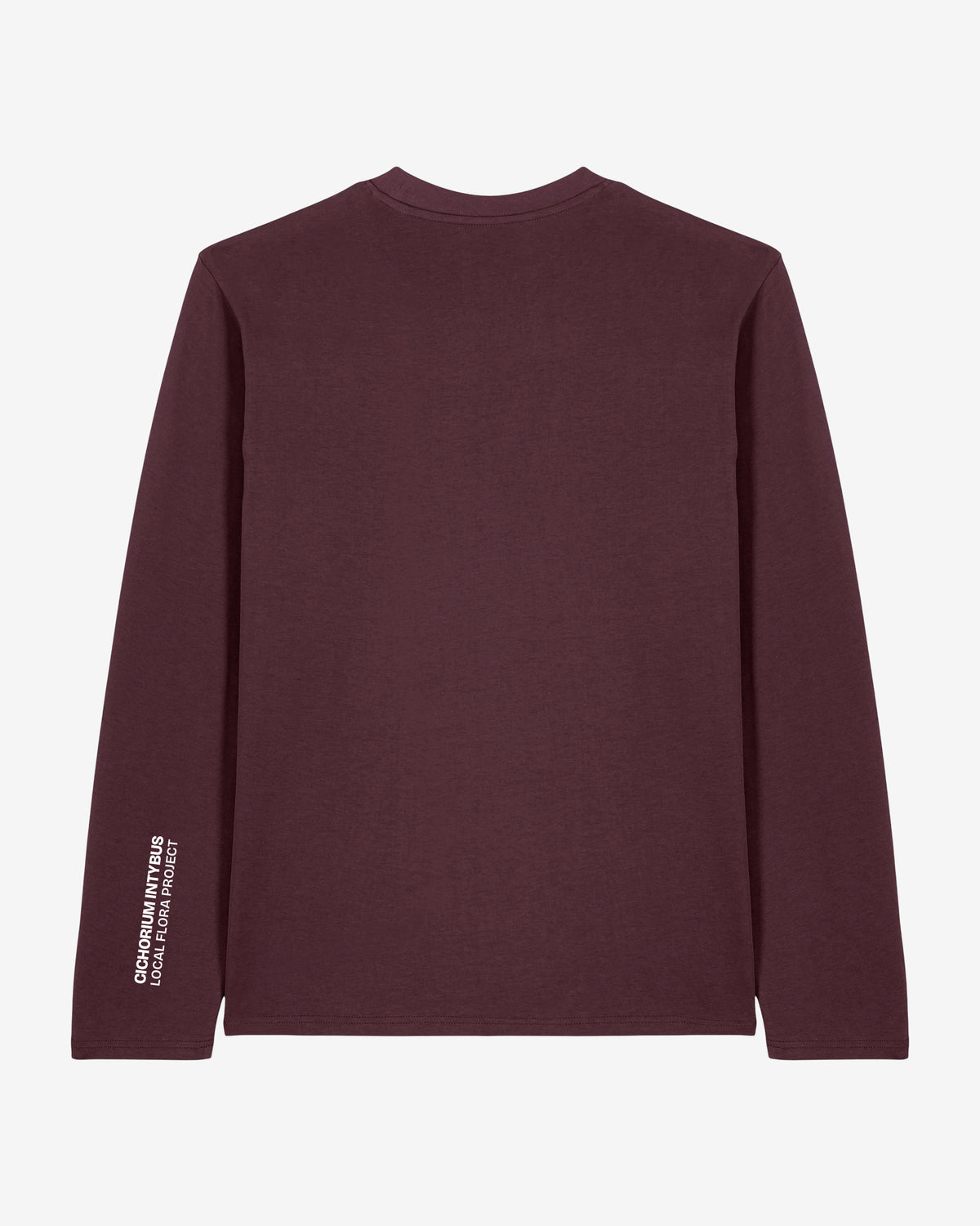 "Sandland Chicory" Wegwarte Organic Longsleeve